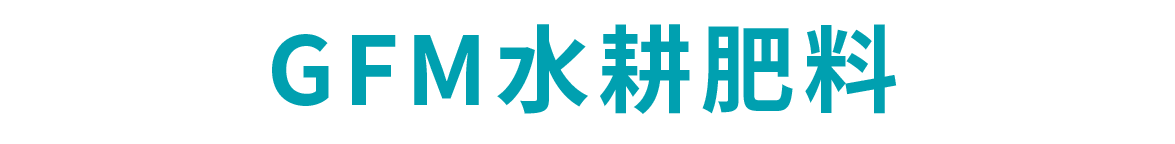 GFMオプション